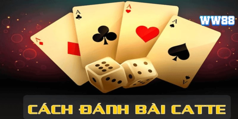 Cách đánh bài Catte cơ bản mà tân thủ cần biết