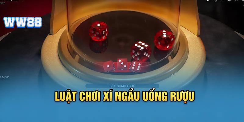 Chỉ dẫn chi tiết cách chơi xí ngầu uống rượu