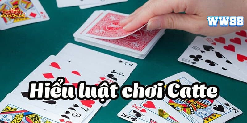 Chi Tiết Luật Đánh Bài Catte Chuẩn Nhất Cho Người Chơi Mới