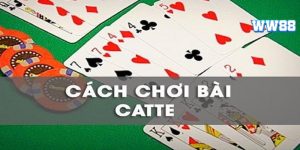 Khám Phá Cách Đánh Bài Catte Thắng Lớn Hiệu Quả Nhất 2024