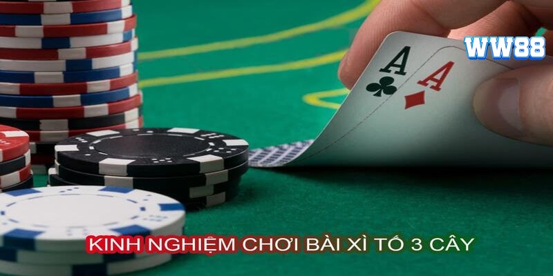 Mẹo hay trong cách chơi bài tố ba lá mà bạn cần nắm